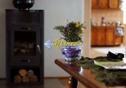 Casa superba de vanzare cu 8 camere in Alba Iulia zona Centrala - 8
