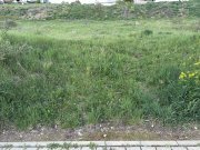 TEREN INTRAVILAN I 2900 MP I IDEAL PENTRU CONSTRUCTIE BLOCURI I P+ 3 I