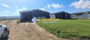 Ferma de vanzare in apropiere de Alba Iulia - 8