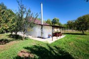 Proprietate deosebita cu doua case si teren generos – Cosesti, Arges - 3