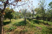 Proprietate deosebita cu doua case si teren generos – Cosesti, Arges - 8