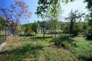 Proprietate deosebita cu doua case si teren generos – Cosesti, Arges - 9