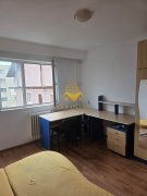Garsoniera, 22 mp, Marasti str. Cojocnei Zona Groapa Marasti,Teleorman - 6
