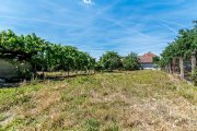 Casă cu teren 1018 mp și 2 fronturi stradale - Bujac - 5