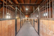 Inchiriere - Centrul de Echitatie Andaluz - Ciocanai, Jud. Arges! - 2