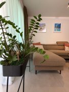 Apartament PREMIUM de vanzare– Tăietura Turcului, Cluj-Napoca - 4