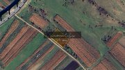 2 parcele teren intravilan de vanzare, Valcele