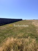 Teren Turcesti, Pitesti - 730 mp! - 2