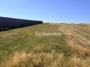 Teren Turcesti, Pitesti - 730 mp! - 3