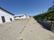 Teren 43884 mp intravilan, 4 hale 6000 mp, nod autostrada, Bogata - 2