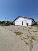 Teren 43884 mp intravilan, 4 hale 6000 mp, nod autostrada, Bogata - 7