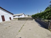 Teren 43884 mp intravilan, 4 hale 6000 mp, nod autostrada, Bogata - 2
