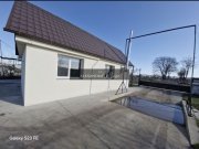 Teren 43884 mp intravilan, 4 hale 6000 mp, nod autostrada, Bogata - 4