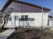 Teren 43884 mp intravilan, 4 hale 6000 mp, nod autostrada, Bogata - 5