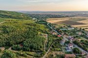 Teren în Miniș, pe deal, 1.150 mp, front 26 m, Drumul Vinului