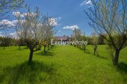 Teren Campulung Muscel - Valea Mare Pravat - 9400 mp, utilitati