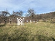 Teren  extravilan I 5300 mpI  Salatrucel -Calimanesti