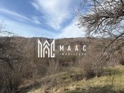 Teren  extravilan I 5300 mpI  Salatrucel -Calimanesti - 4