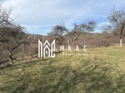 Teren  extravilan I 5300 mpI  Salatrucel -Calimanesti - 5