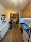 3 Camere de Lux, Zorilor, Parcare, Frunzisului, Lidl, Studium Green - 5