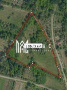 Teren 10500MPU I Daia I Acces 2 drumuri I Ideal Construcții I Cabana - 3