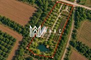 Teren 5800MPU I Acces drum I Ideal Construcție I Zona retrasă I Cabana - 3