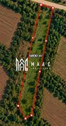 Teren 5800MPU I Arabil I Ideal Cabana I Construcții I Acces drumuri I Daia - 3