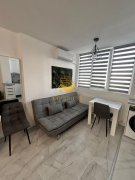 1 camera, Manastur, USAMV, Centrala proprie, Modern - 6