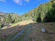 Teren intravilan la munte - 6
