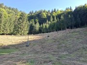 Teren intravilan la munte - 8