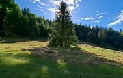 Teren intravilan la munte