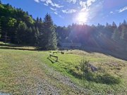 Teren intravilan la munte - 1