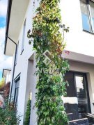 DE ÎNCHIRIAT – CASĂ TIP DUPLEX | PIPERA – PĂDUREA MATEI MILLO - 2