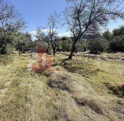 Teren 4558 mp cu casă tradițională, Sohodol, Bran - 8
