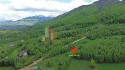Teren intravilan 5.261 mp Tohănița | Deschidere 49 m | Utilități, lângă pădure - 5