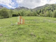 Teren intravilan 5.261 mp Tohănița | Deschidere 49 m | Utilități, lângă pădure - 8