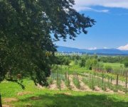 Proprietate cu potențial turistic și agricol | 7.661 mp|Șomanești-GORJ - 3
