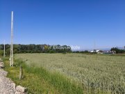 Teren 10.294 mp de vânzare Târgu Jiu | Intravilan + Extravilan | Utilități - 3