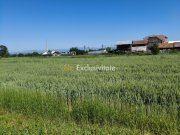 Teren 10.294 mp de vânzare Târgu Jiu | Intravilan + Extravilan | Utilități - 4