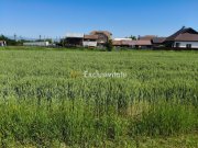 Teren 10.294 mp de vânzare Târgu Jiu | Intravilan + Extravilan | Utilități - 5
