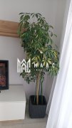Apartament 2 camere de închiriat | Șelimbăr | Avangarden - 10