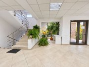 Birouri/Activitati medicale, 950mp, Parcari, Manastur, Frunzisului