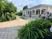 Casa visurilor cu 4000 mp livada roditoare si gradina Darmanesti-Arges