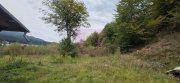 Cabana de vânzare în Bușteni – vedere spre Caraiman și 650 mp de teren - 8