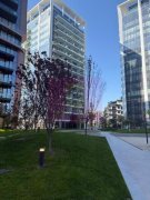 Apartament One Lake Club Lacul Tei - 4