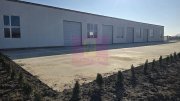Hală 550 mp de închiriat | H 7 m | Curent trifazat | Sector 4 - 2
