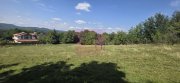 Teren intravilan de vanzare 2500 mp in Banesti - 2