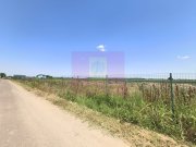 Teren pentru casă aproape de București - 5