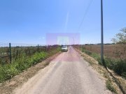 Teren pentru casă aproape de București - 6