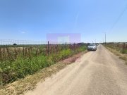 Teren pentru casă aproape de București - 7